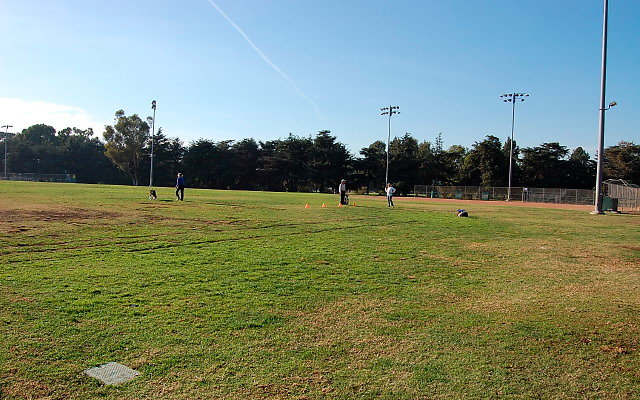 DSC 0153