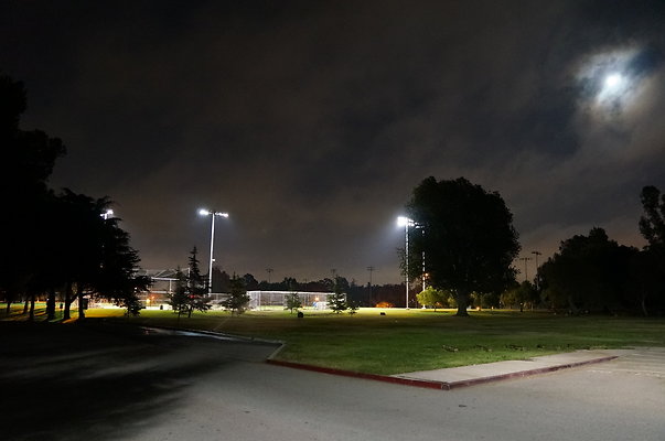 DSC00095