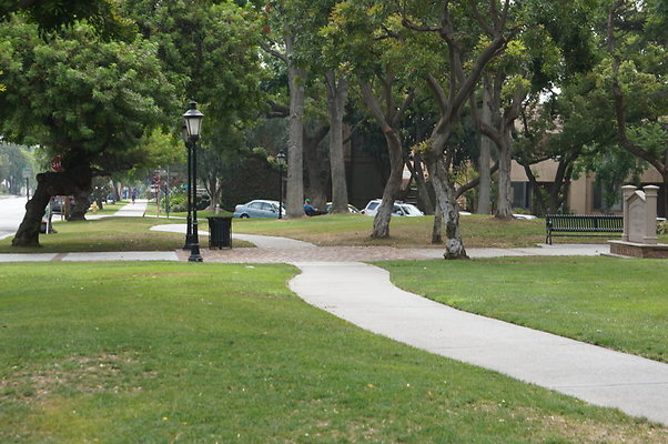 DSC05389