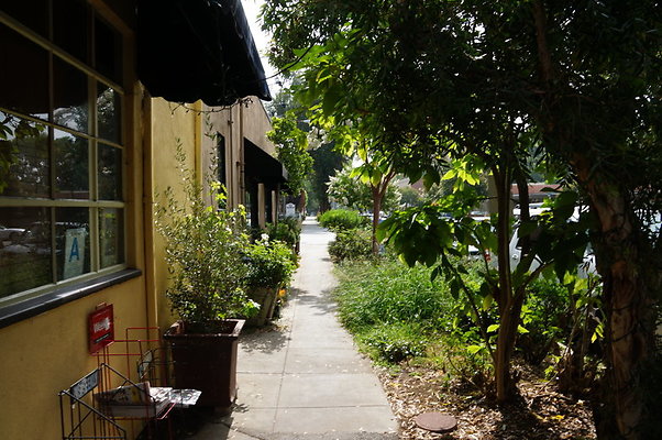 DSC05470