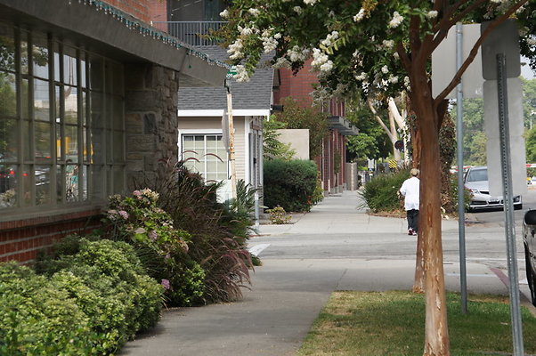DSC05435