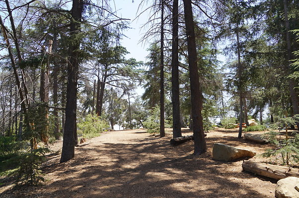Cedar Grove.GP.025