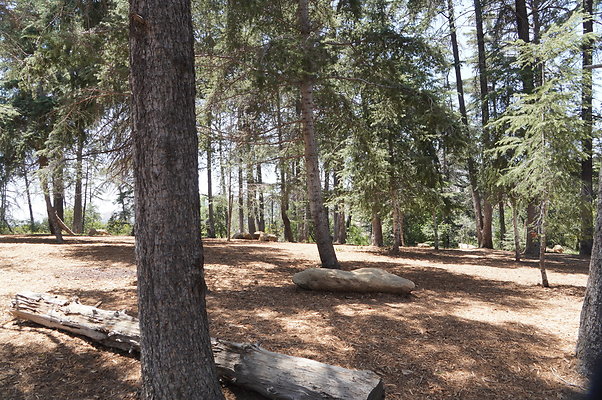 Cedar Grove.GP.032
