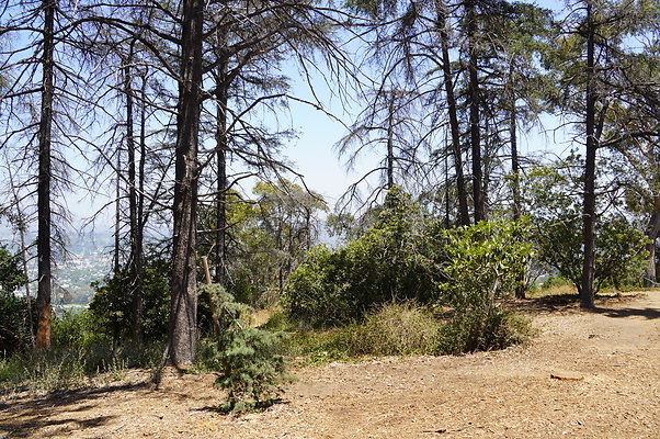 Cedar Grove.GP.041