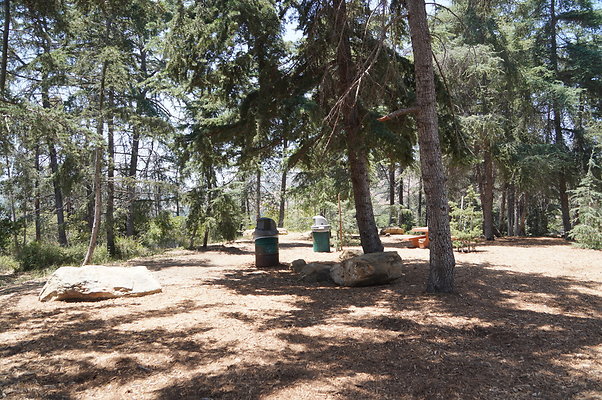 Cedar Grove.GP.047
