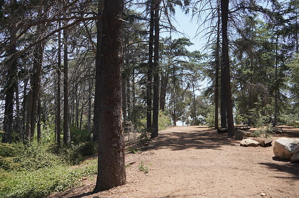 Cedar Grove.GP.016
