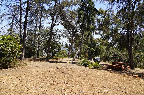 Cedar Grove.GP.053