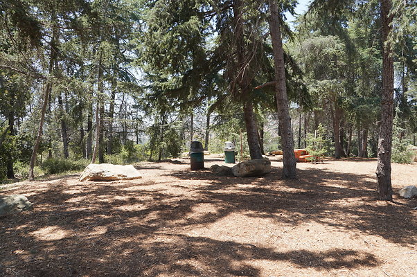 Cedar Grove.GP.050