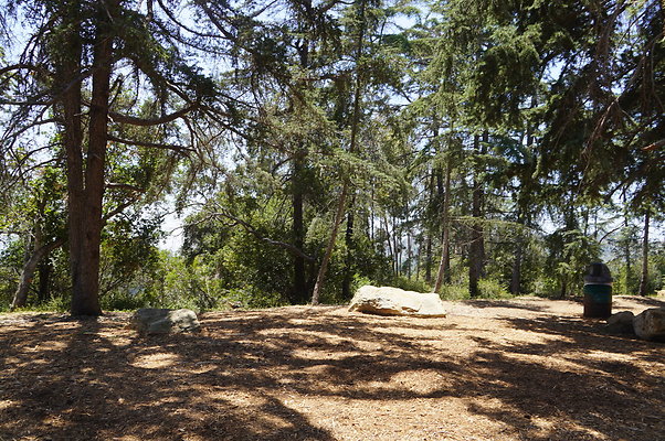 Cedar Grove.GP.045