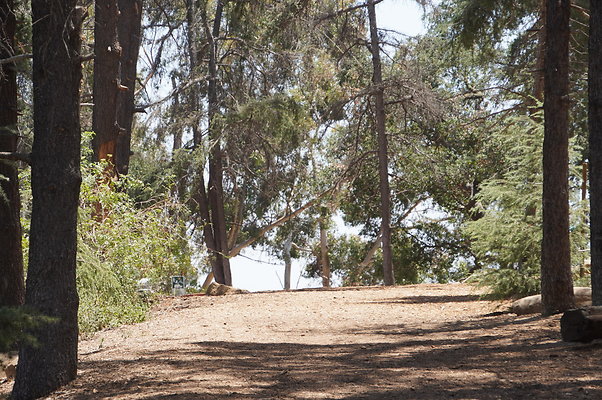 Cedar Grove.GP.020