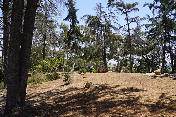Cedar Grove.GP.037