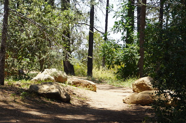 Cedar Grove.GP.023