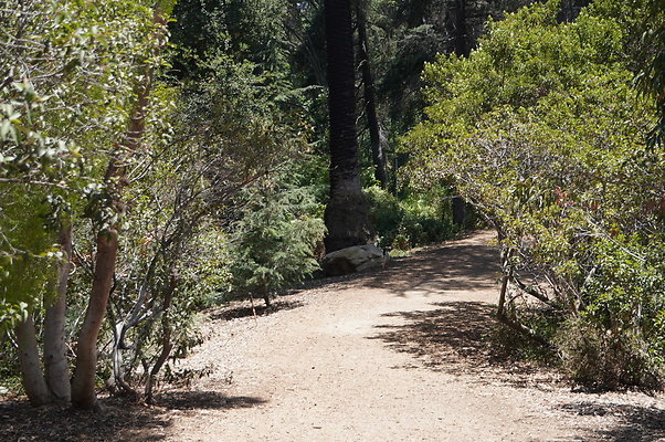 Cedar Grove.GP.009