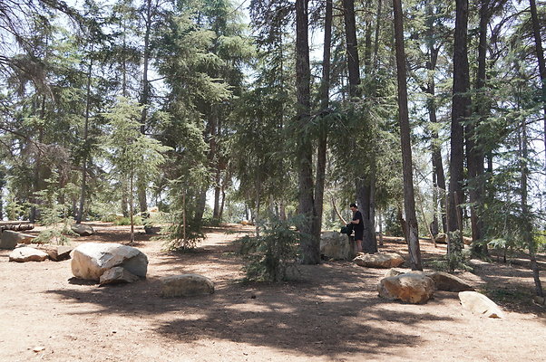 Cedar Grove.GP.017