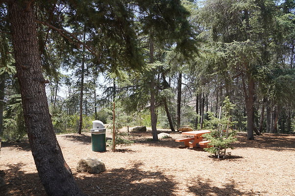 Cedar Grove.GP.057