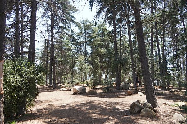 Cedar Grove.GP.014