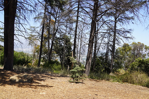 Cedar Grove.GP.052