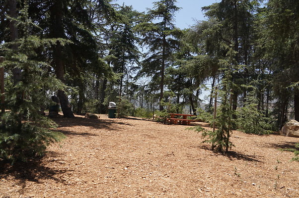 Cedar Grove.GP.040