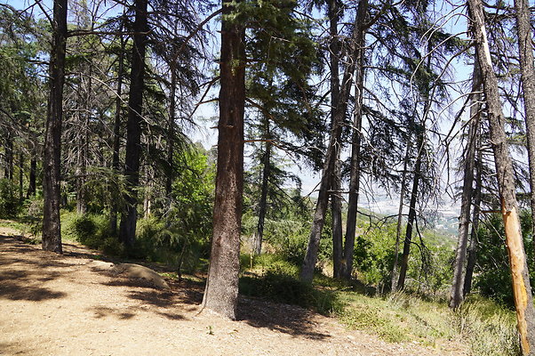 Cedar Grove.GP.034