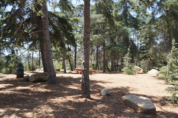 Cedar Grove.GP.046