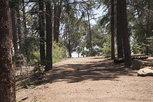 Cedar Grove.GP.019