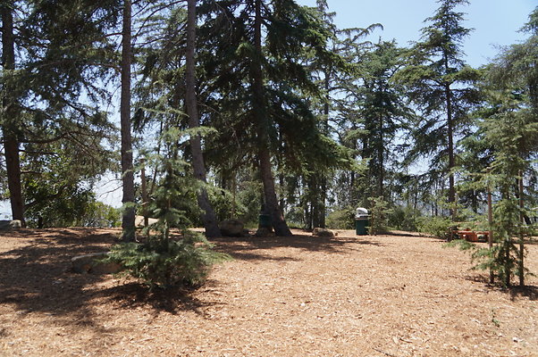 Cedar Grove.GP.039
