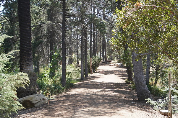 Cedar Grove.GP.011