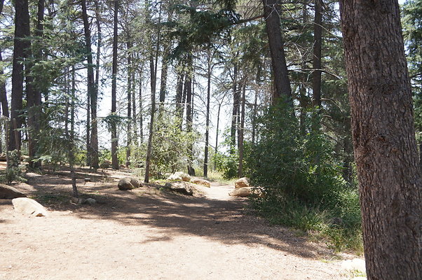 Cedar Grove.GP.018