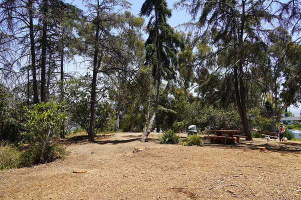 Cedar Grove.GP.042