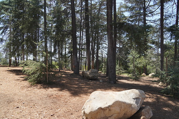 Cedar Grove.GP.027