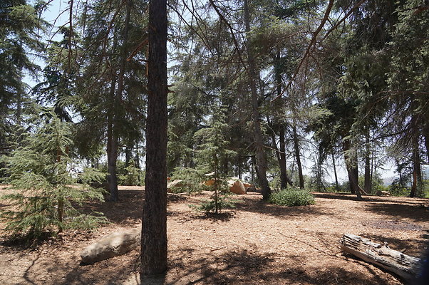 Cedar Grove.GP.031