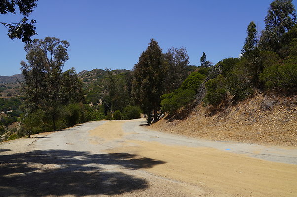 Cedar Grove.GP.004