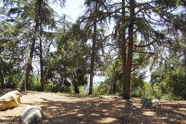 Cedar Grove.GP.044