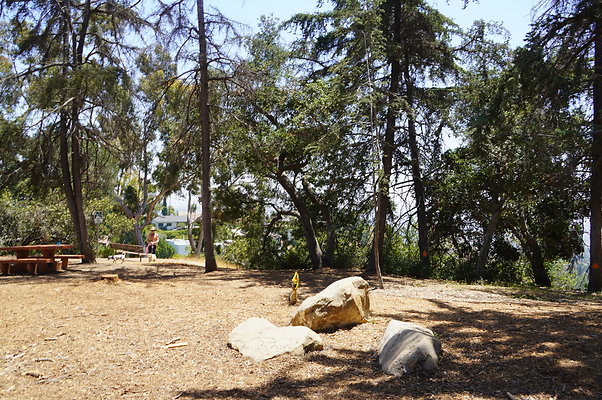 Cedar Grove.GP.043
