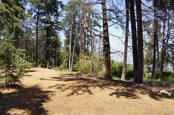 Cedar Grove.GP.049