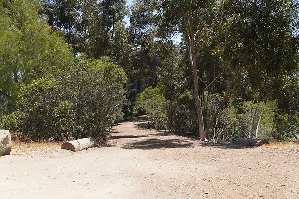 Cedar Grove.GP.002