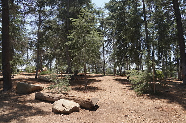 Cedar Grove.GP.026
