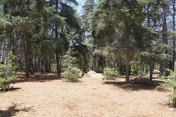 Cedar Grove.GP.058