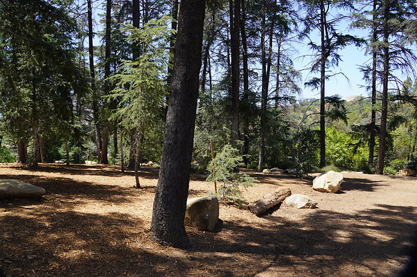 Cedar Grove.GP.033