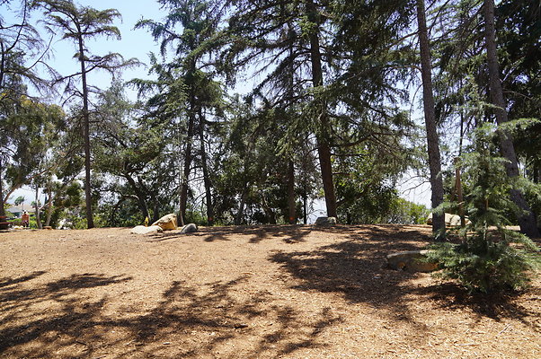 Cedar Grove.GP.038