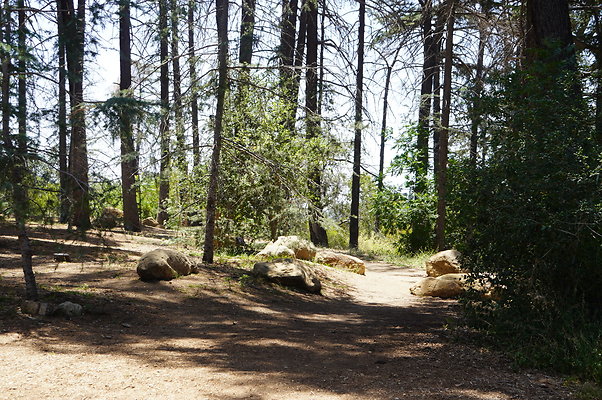 Cedar Grove.GP.022