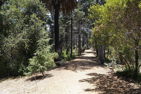 Cedar Grove.GP.010