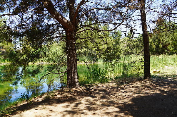 GOR.Pine Lake.059
