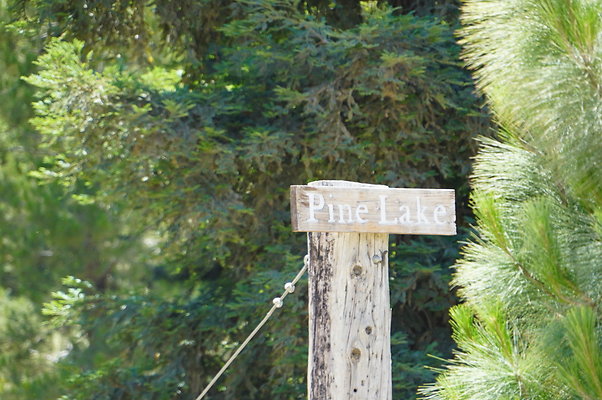GOR Pine Lake