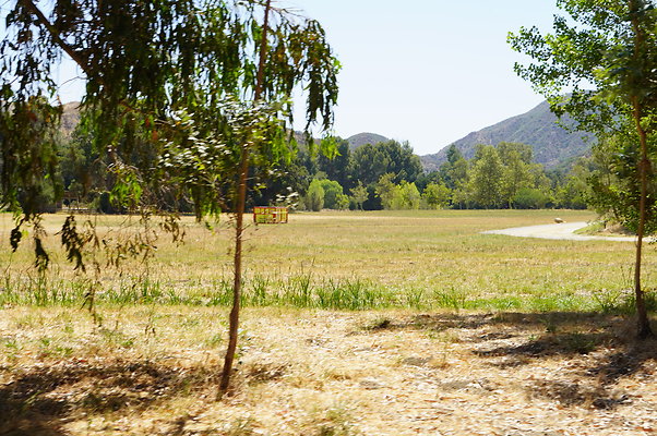 GOR.West.Meadow.011