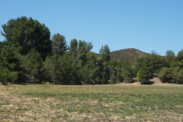 GOR.West.Meadow.004