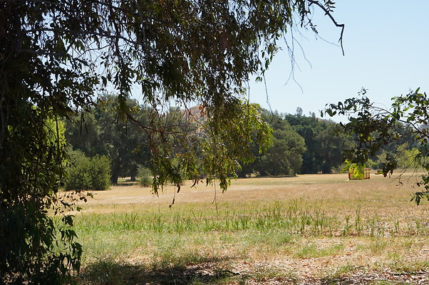 GOR.West.Meadow.010