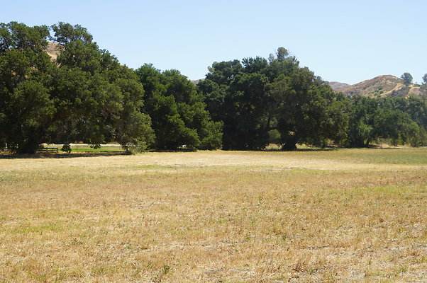 GOR.West.Meadow.021