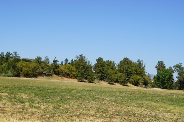 GOR.West.Meadow.002