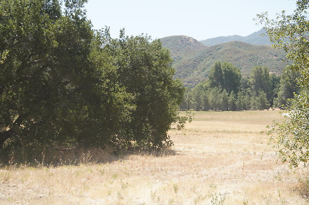 GOR.West.Meadow.007